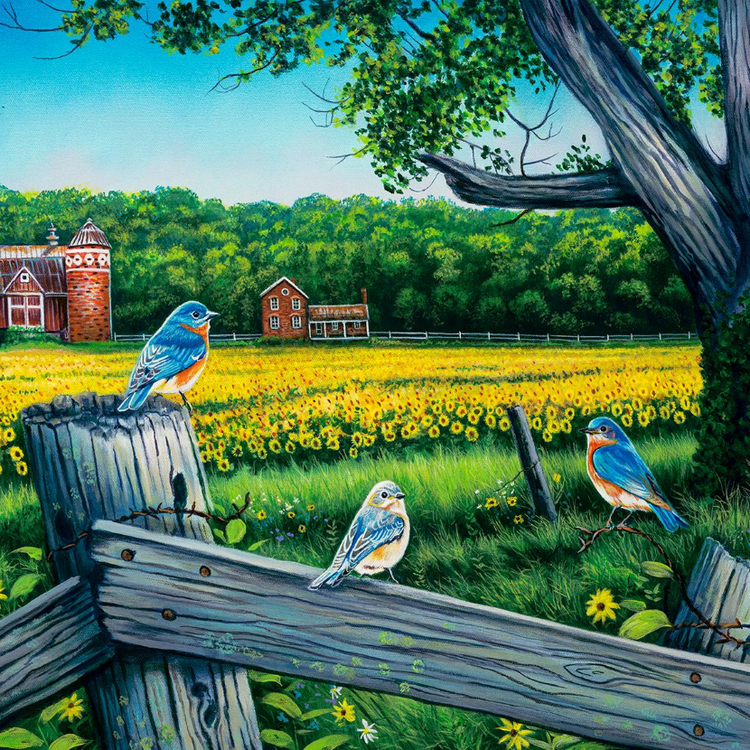 Sunsout|500 Piece Jigsaw Puzzles|