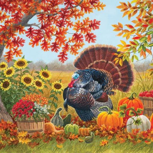 SunsOut|1000 Piece Jigsaw Puzzles|