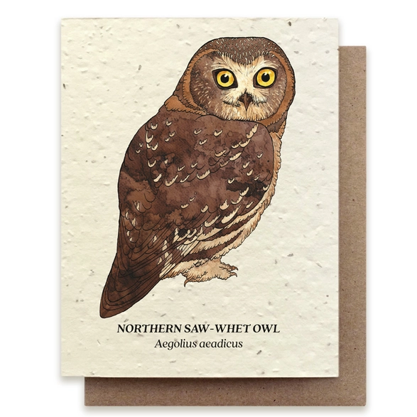 Small Victories |Plantable Wildflower Note Cards