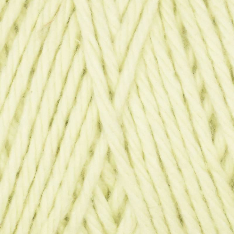 Queensland| Coastal Cotton Yarn| Worsted Weight
