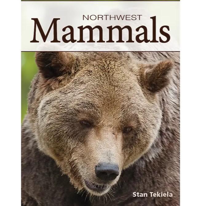 AdventureKEEN| Playing Cards