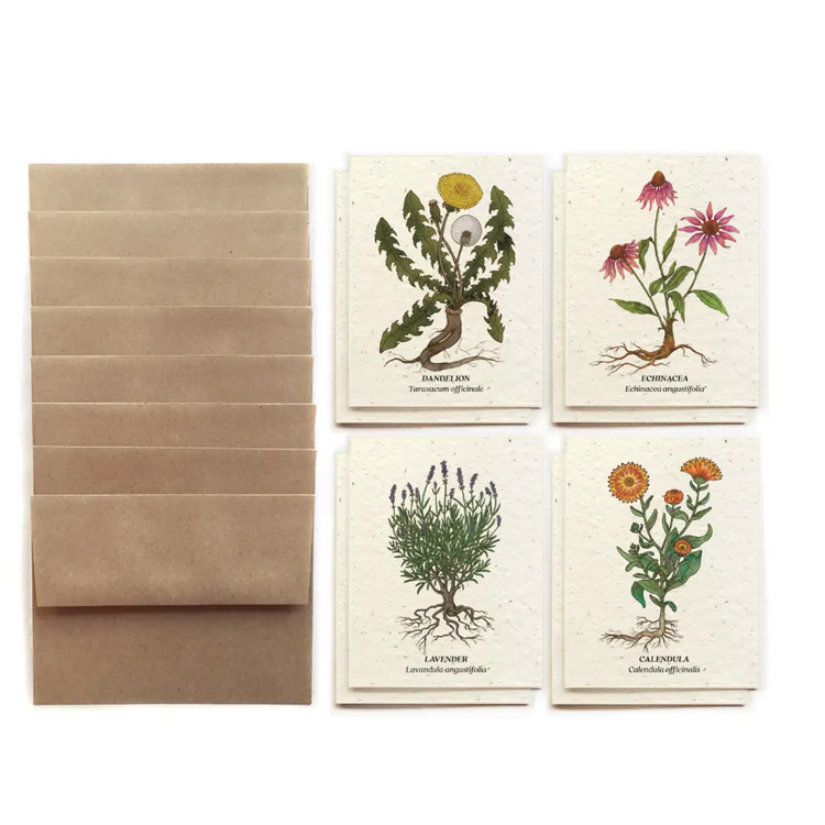 Small Victories| Plantable Note Cards |Sets of 8