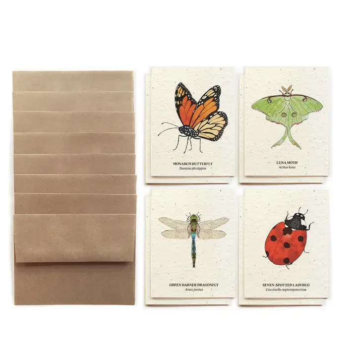 Small Victories| Plantable Note Cards |Sets of 8