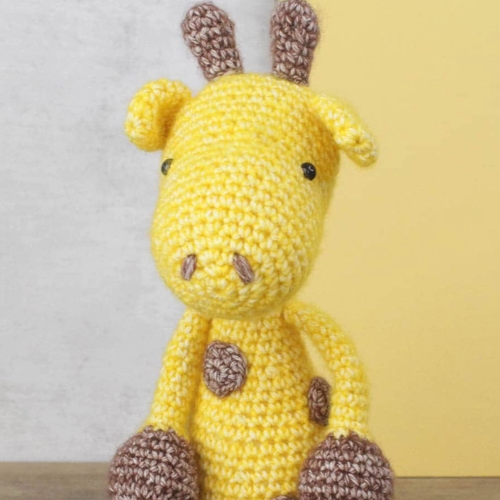 Hardicraft| Crochet Kits|Easy Crafting DIY