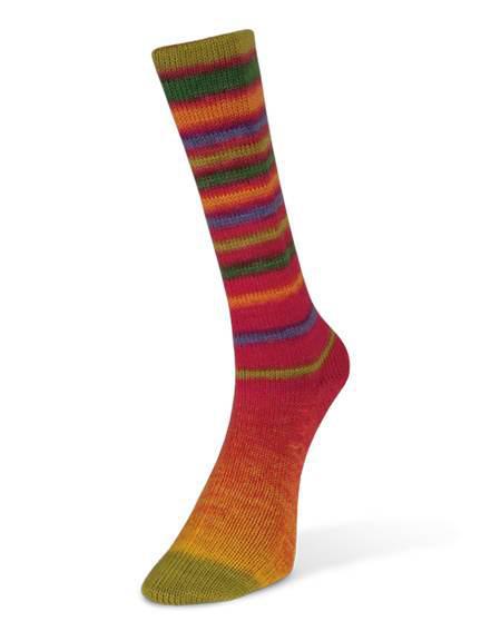 Laines du Nord Infinity Sock Yarn