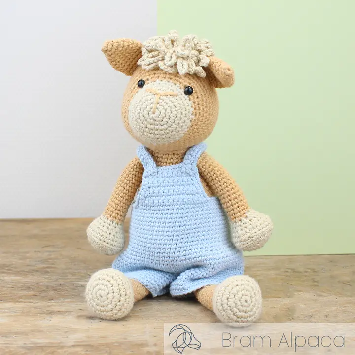 Hardicraft| Crochet Kits|Easy Crafting DIY