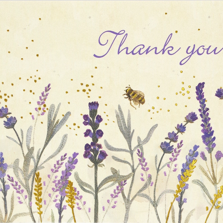 Note Cards|14 Cards| Peter Pauper Press