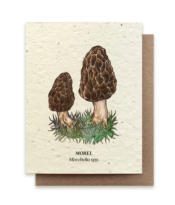 Small Victories |Plantable Wildflower Note Cards