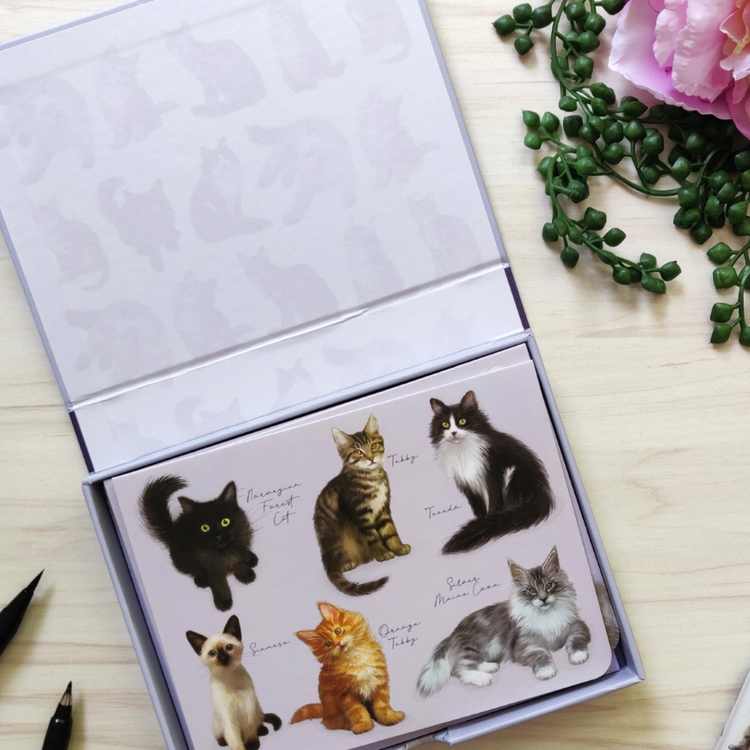 Robert Frederick Ltd|Beatrix Potter Gifts|