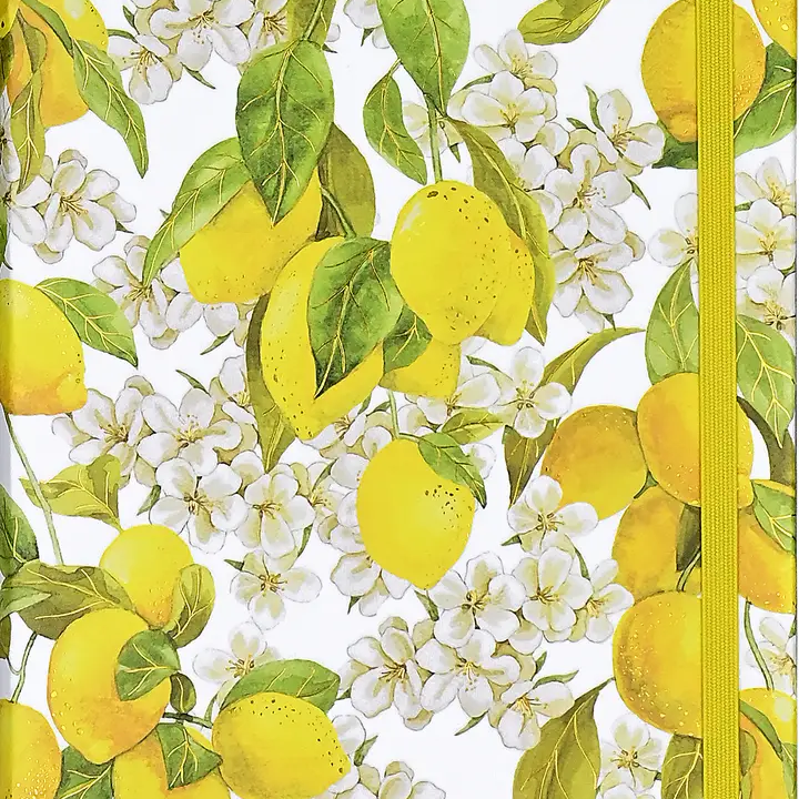 Journals, Logbooks| Notebooks|Peter Pauper Press