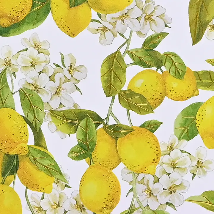 Note Cards|14 Cards| Peter Pauper Press