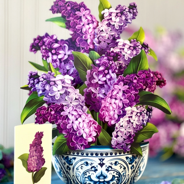 FreshCut Pop Up Scenes and Greeting cards| Mini pop-up bouquets