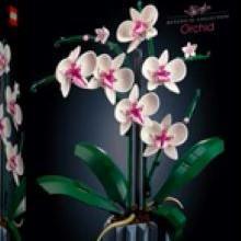 (LEGO) Botanical Collections