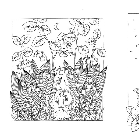 Premium Coloring Books|All Ages|Gibbs Smith
