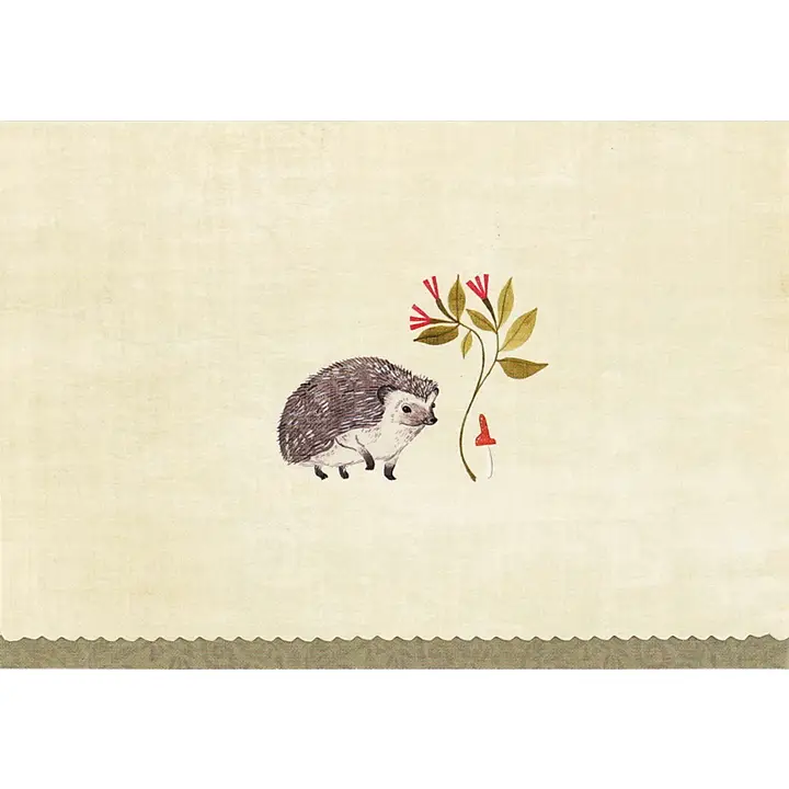Note Cards|14 Cards| Peter Pauper Press