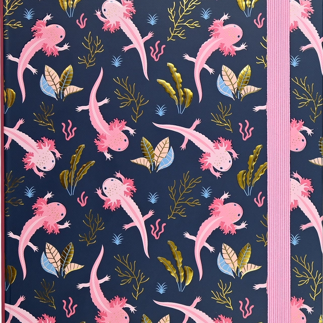 Journals, Logbooks| Notebooks|Peter Pauper Press