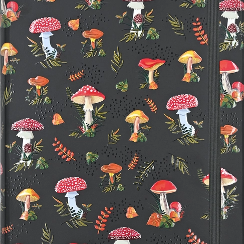 Journals, Logbooks| Notebooks|Peter Pauper Press