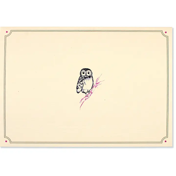 Note Cards|14 Cards| Peter Pauper Press