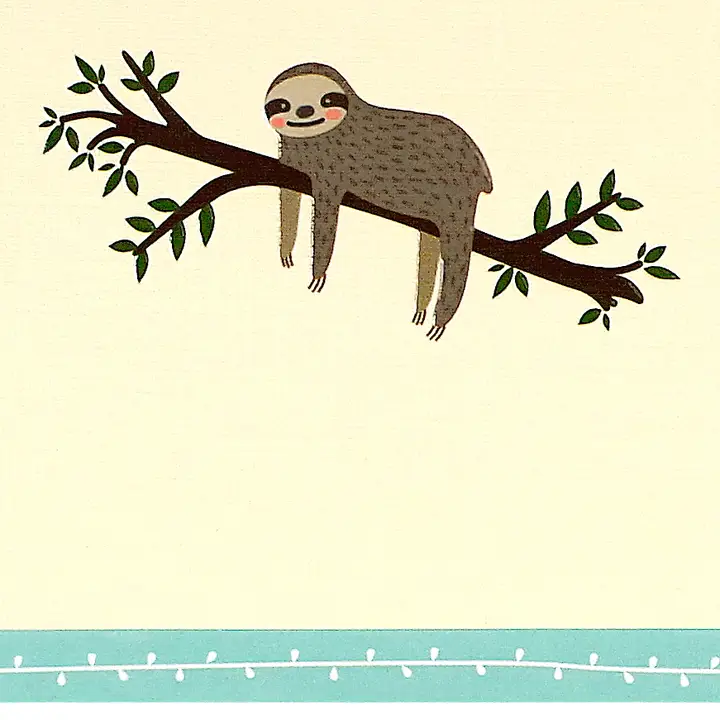 Note Cards|14 Cards| Peter Pauper Press