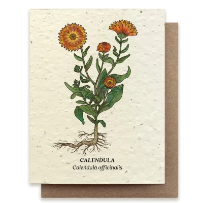 Small Victories |Plantable Wildflower Note Cards