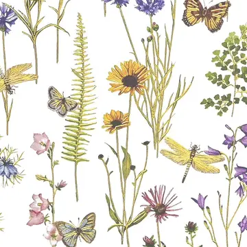 Note Cards|14 Cards| Peter Pauper Press
