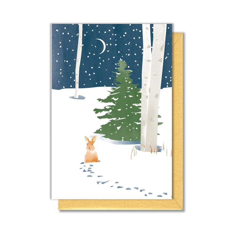 Driscoll Design| Enclosure Card