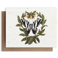 Small Victories| Plantable Herb Note Cards
