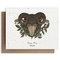 Small Victories| Plantable Herb Note Cards