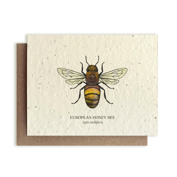 Small Victories |Plantable Wildflower Note Cards
