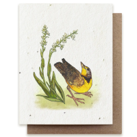 Small Victories| Plantable Herb Note Cards