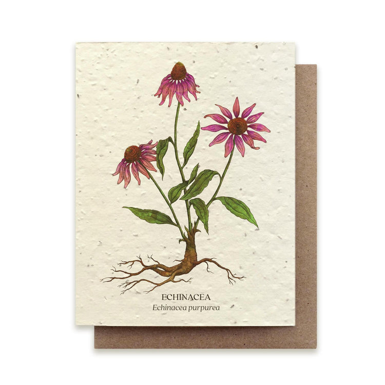 Small Victories |Plantable Wildflower Note Cards