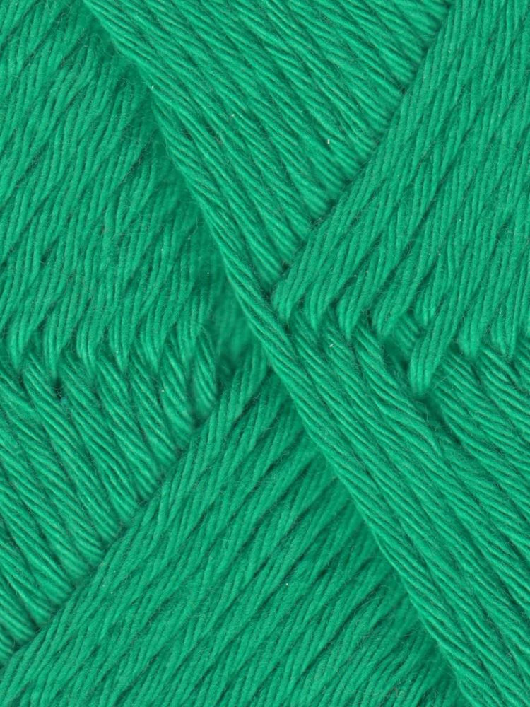 Queensland| Coastal Cotton Yarn| Worsted Weight