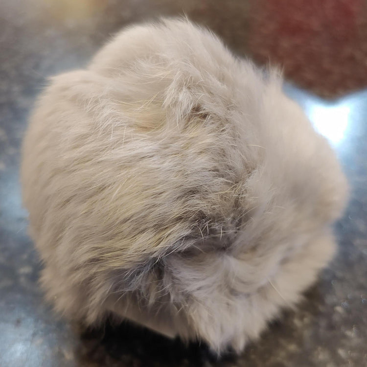 (Bryson) Fur Pom Pom 3"