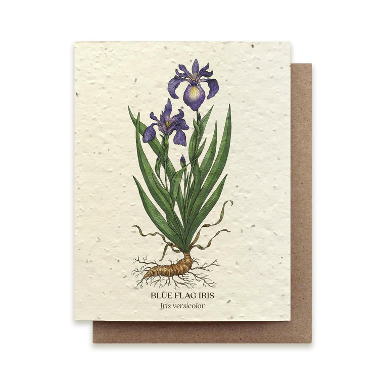Small Victories |Plantable Wildflower Note Cards