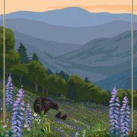 Lantern Press| Coasters | Oregon