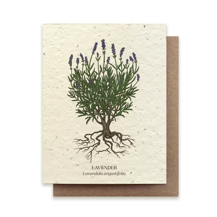 Small Victories |Plantable Wildflower Note Cards