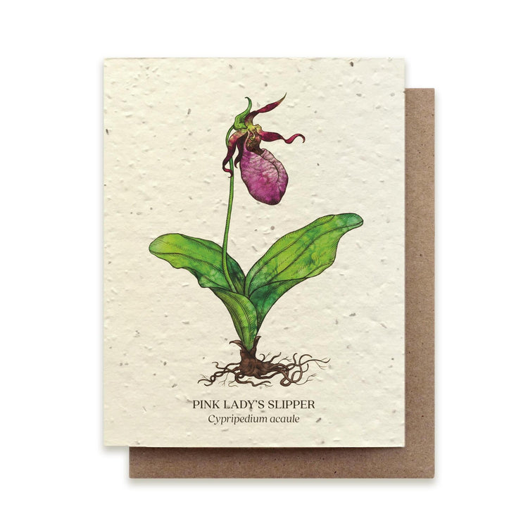 Small Victories |Plantable Wildflower Note Cards