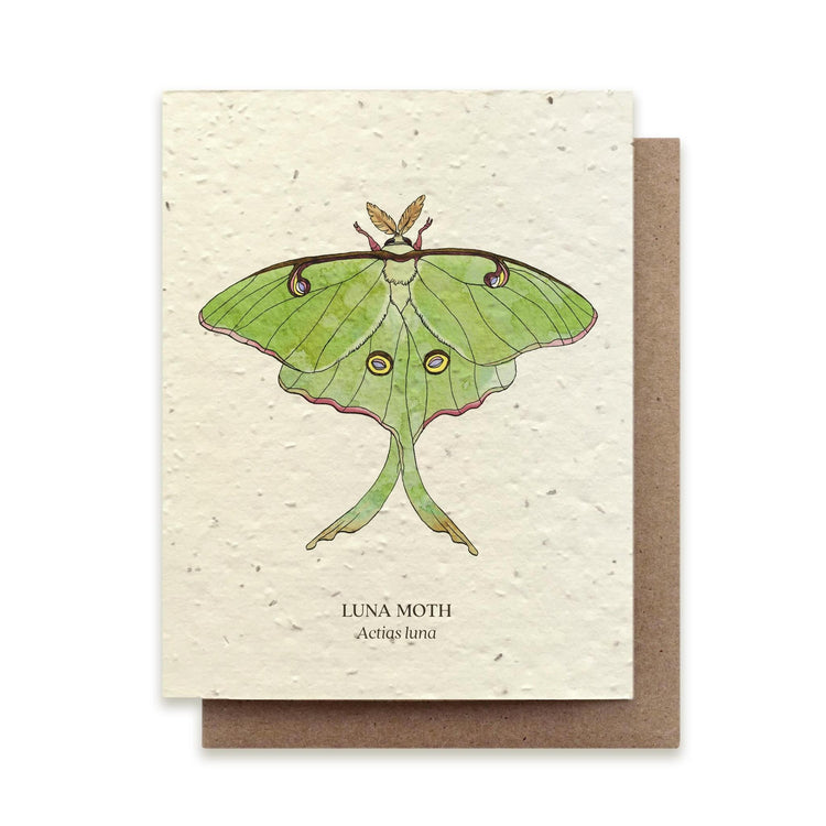 Small Victories |Plantable Wildflower Note Cards