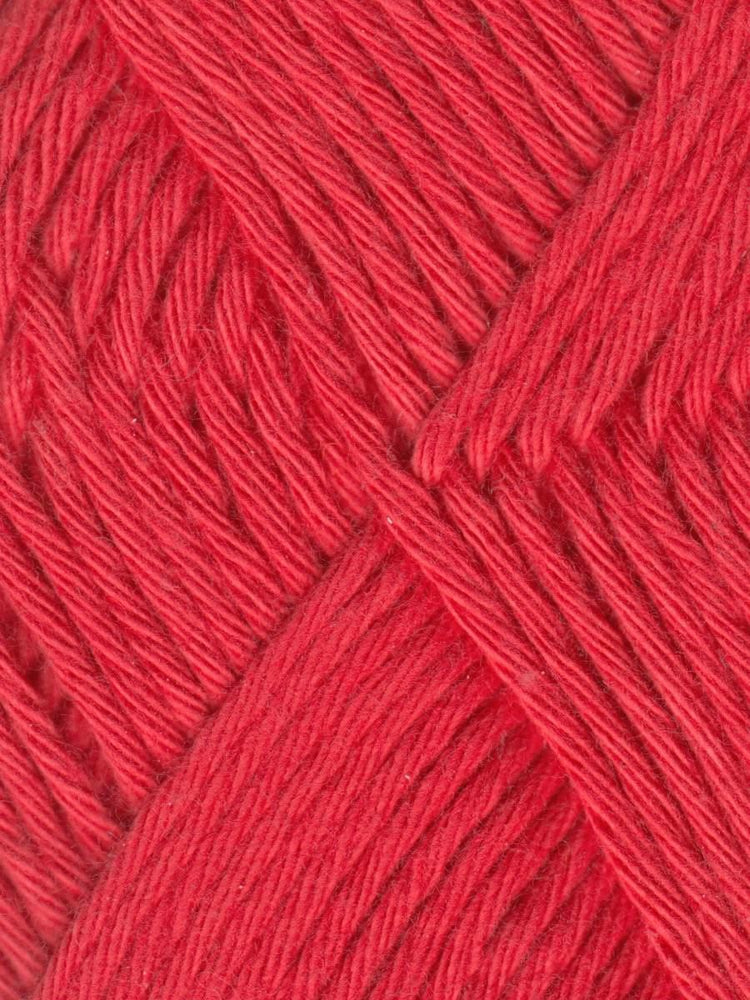 Queensland| Coastal Cotton Yarn| Worsted Weight