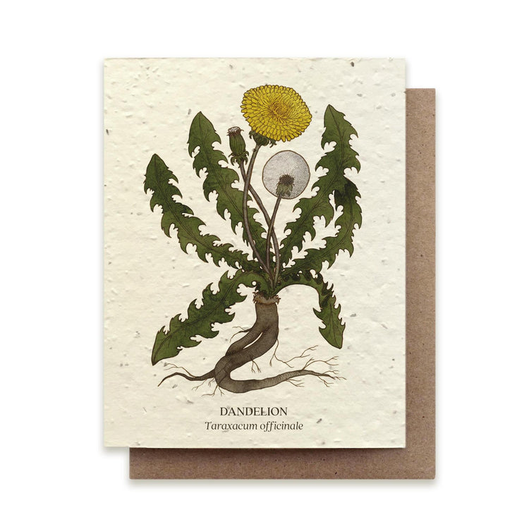 Small Victories |Plantable Wildflower Note Cards
