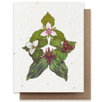 Small Victories| Plantable Herb Note Cards