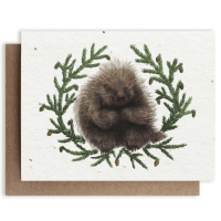 Small Victories| Plantable Herb Note Cards