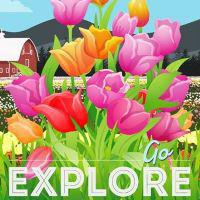 Lantern Press| Coasters | Oregon