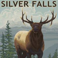 (Lantern Press) Postcards