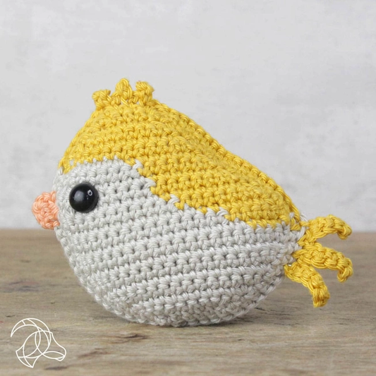 Hardicraft| Crochet Kits|Easy Crafting DIY