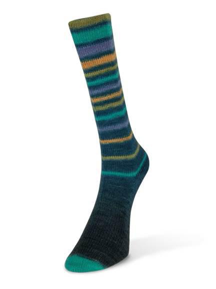 (Laines du Nord) Infinity Sock Yarn