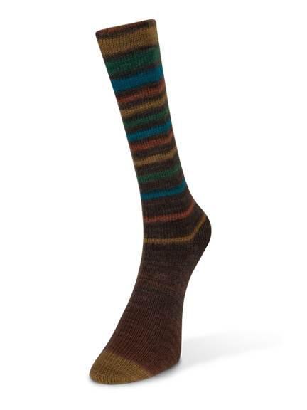 (Laines du Nord) Infinity Sock Yarn