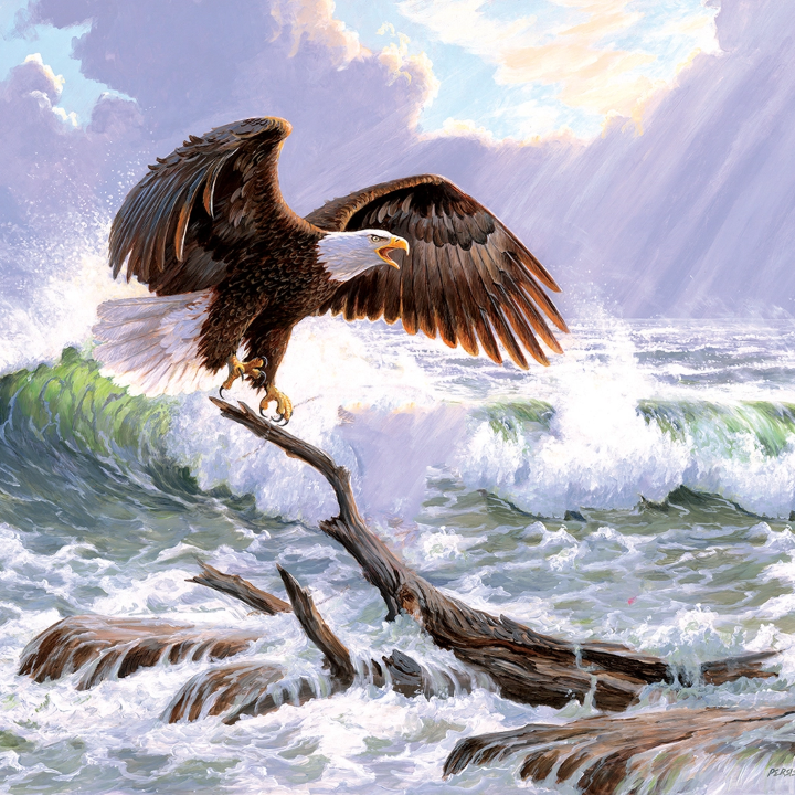 500 Piece Jigsaw Puzzles|Sunsout