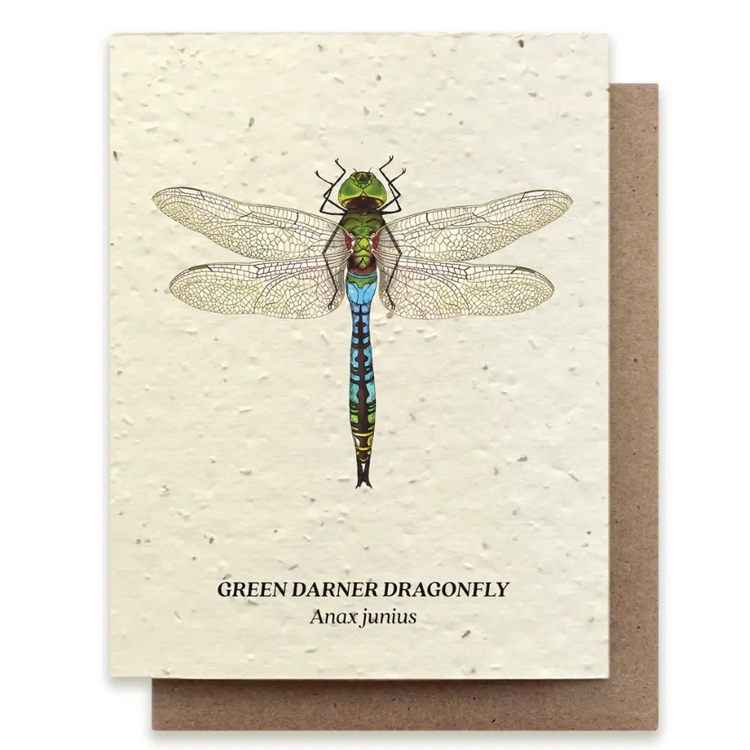 Small Victories |Plantable Wildflower Note Cards