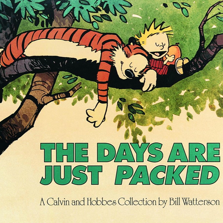 Paperback Books for Young People